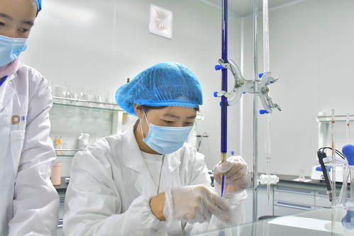 沛华农业大方生产基地建成投产 做强沛华集团刺梨产业 组织文化艺术交流活动