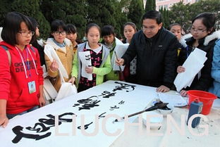 柳城县书法艺术进校园 组织文化艺术交流活动